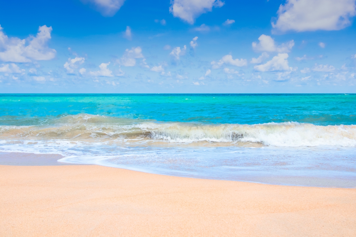 Magical Andaman Honeymoon Package