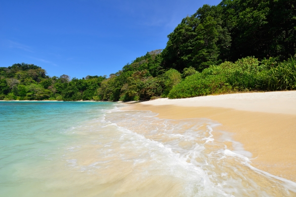 Discover Beautiful Andaman Family Tour Packages