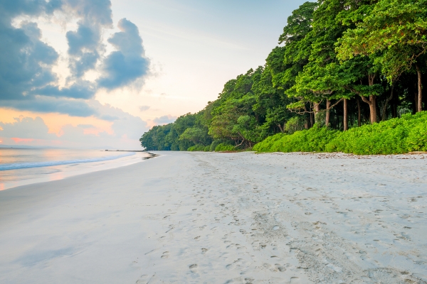 Amazing Andaman Tour Package