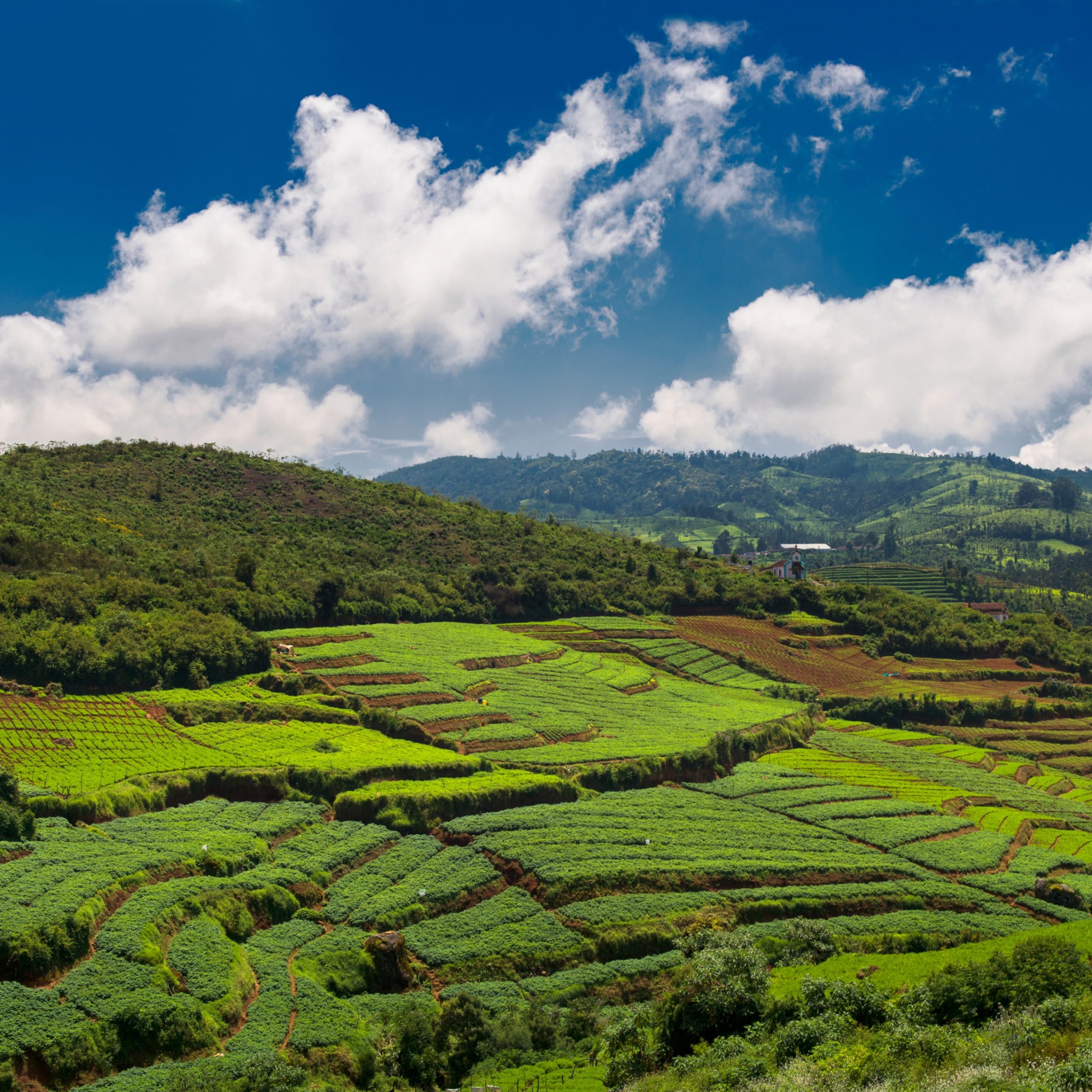 Ooty Honeymoon Package
