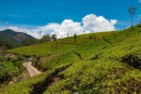 Ooty Tour Packages for a Relaxing Holiday