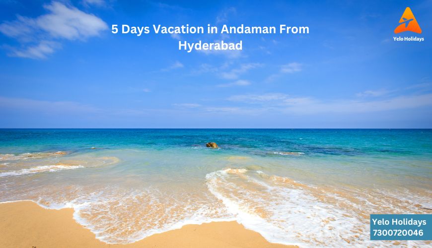 A serene beach with clear blue waters and palm trees, representing an idyllic vacation in Andaman from Hyderabad.