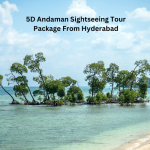 Andaman 5D Sightseeing Tour Package: Exploring Crystal-Clear Waters and Lush Landscapes