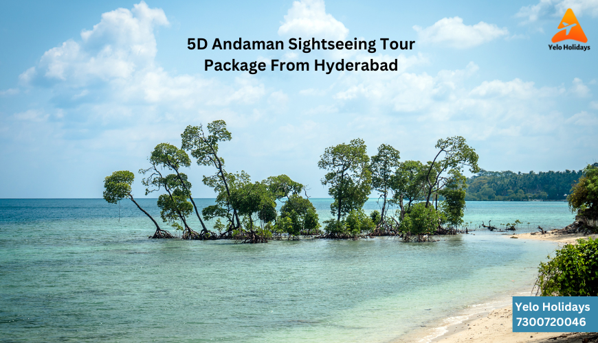 Andaman 5D Sightseeing Tour Package: Exploring Crystal-Clear Waters and Lush Landscapes