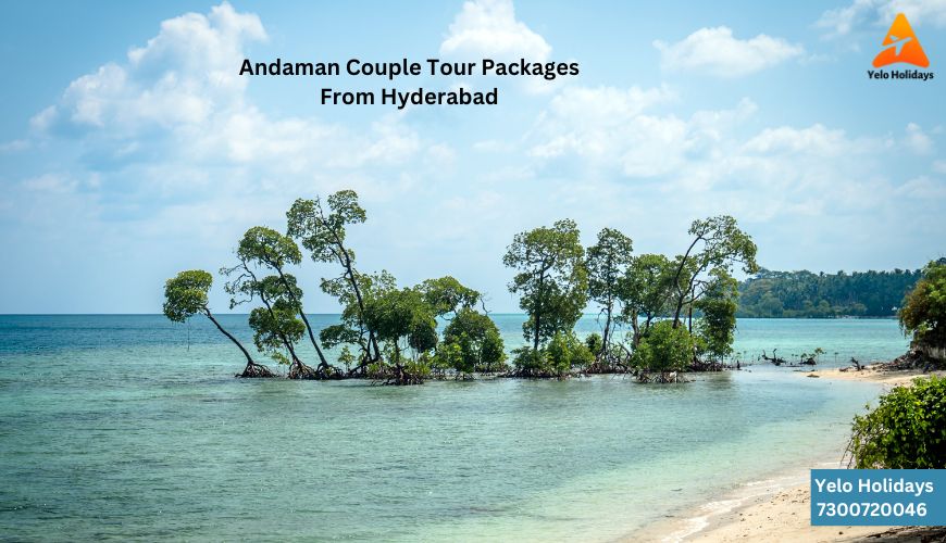 Andaman Couple Tour Package From Hyderabad - Romantic Couple Enjoying Beach Sunset