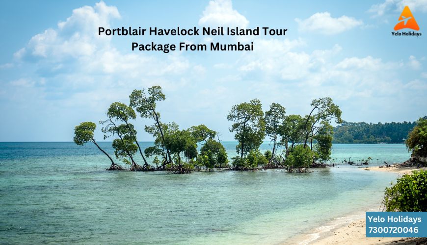 "Scenic Aerial View of Port Blair, Havelock, and Neil Island Tour Package from Mumbai"