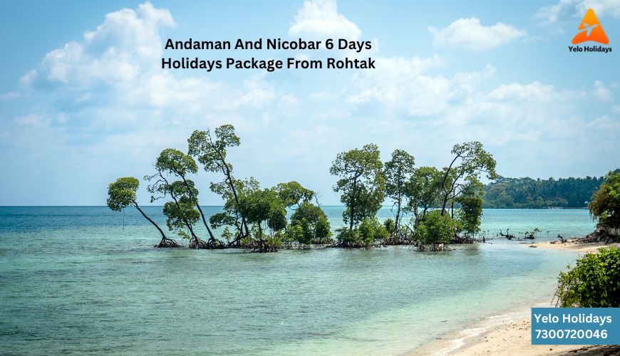 A scenic beach with crystal-clear waters and palm trees, representing Andaman and Nicobar 6 Days Holidays Package from Rohtak.