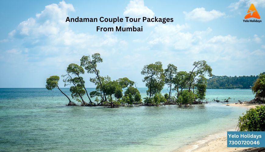 Andaman Couple Tour Packages From Mumbai