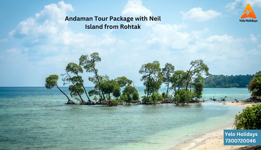 Andaman Tour Package with Neil Island From Rohtak - Crystal Clear Waters and Pristine Beaches Await!